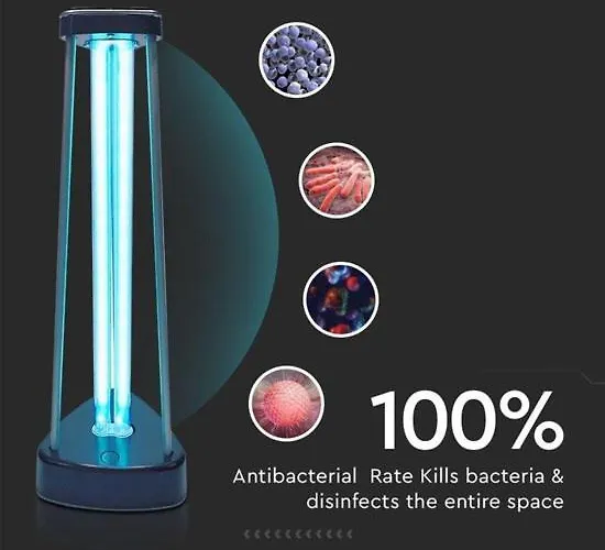 Appartement Ksenija Oostende